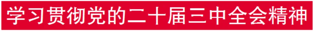 2407221455295213802.jpg